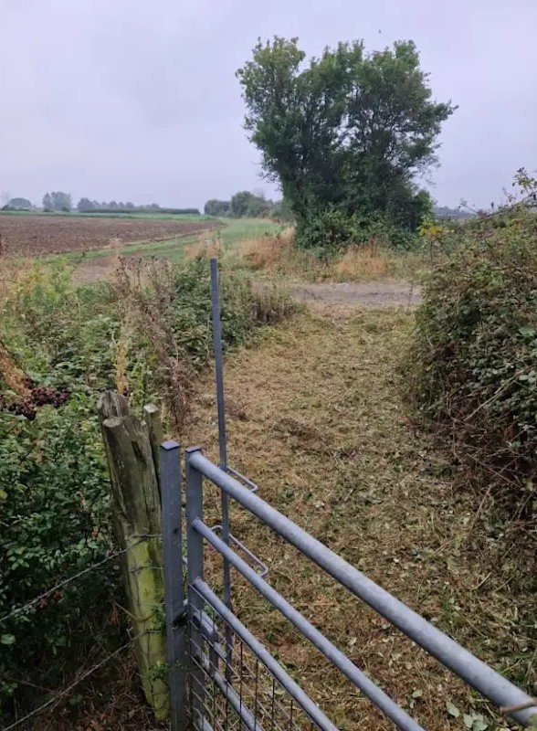 Gardening in Dunstable